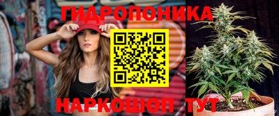 дживик Ливны